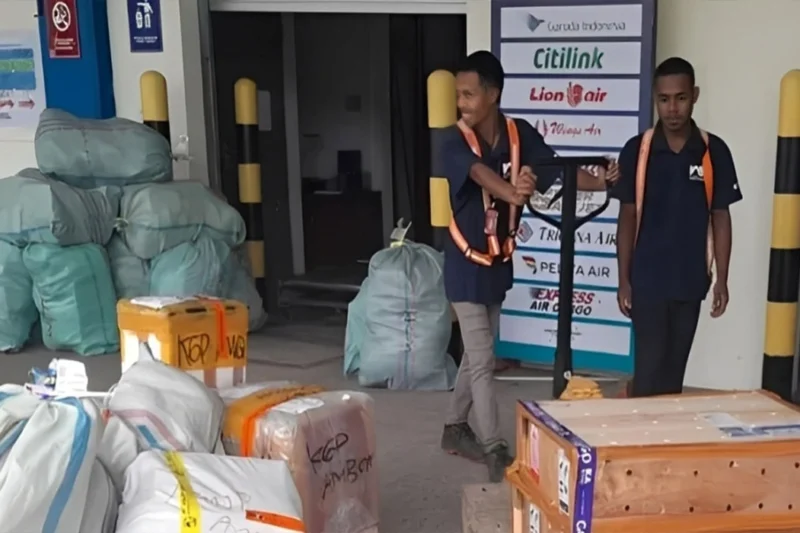 BKSDA Pindahkan 49 Satwa Endemik Pulang Kampung ke Maluku