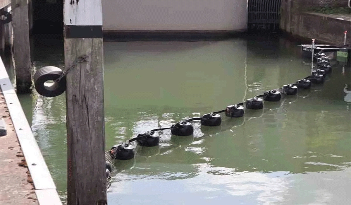 DLHP Ambon Gencarkan Inisiatif Serius, Teluk Ambon Bebas Sampah