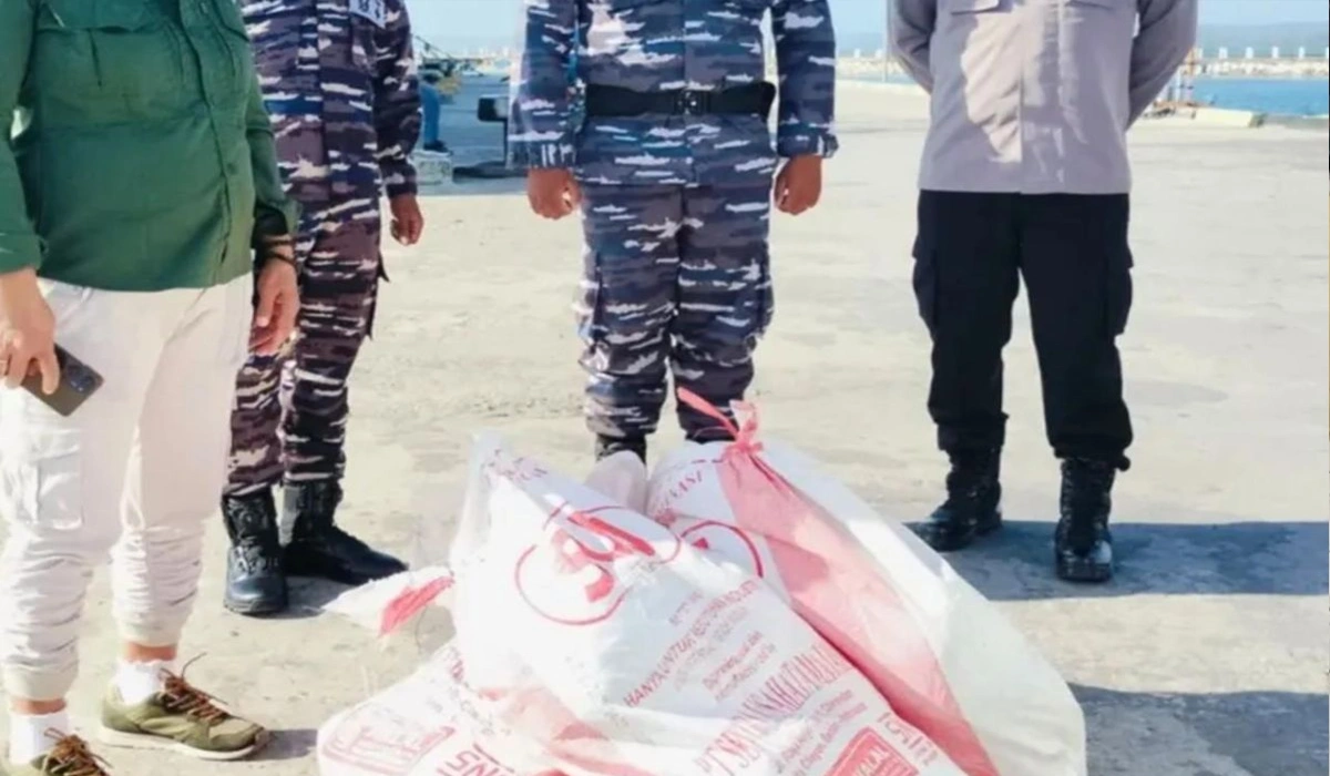 BKSDA-Maluku-Selamatkan-33-Ekor-Ketam-dan-Kenari-di-Saumlaki