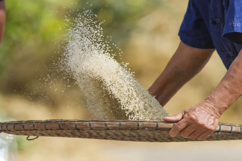 Bulog Maluku Pastikan Belum Ada Order Beras Premium Dari Dapur MBG