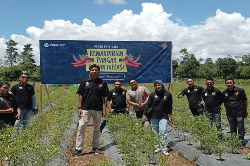 Pemuda Ambon Panen Cabai Perdana, Bukti Pertanian Bisa Jadi Peluang Emas