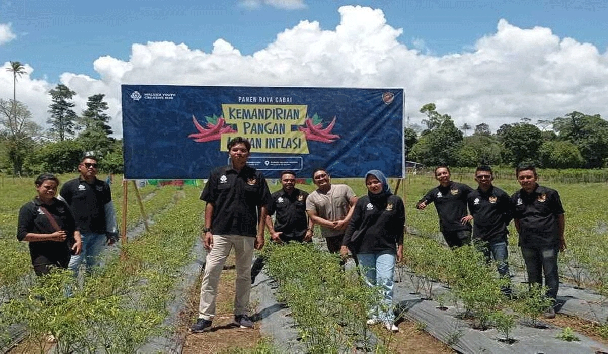 Pemuda Ambon Panen Cabai Perdana, Bukti Pertanian Bisa Jadi Peluang Emas